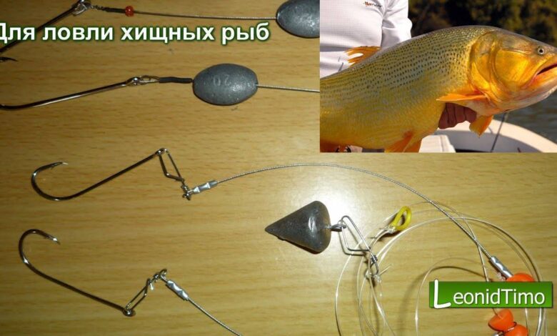 Photo of 5 советов по выбору правильного поводка для рыбалки