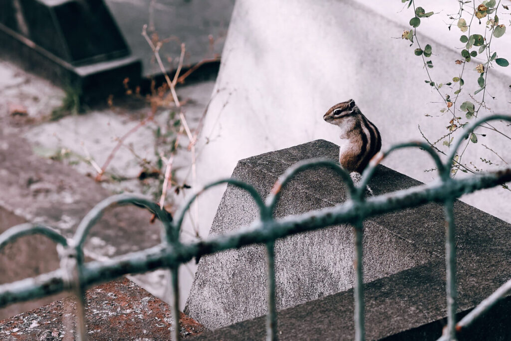 Фото 15 — Полезные советы для начинающих рыболовов