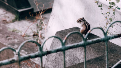 Photo of Полезные советы для начинающих рыболовов