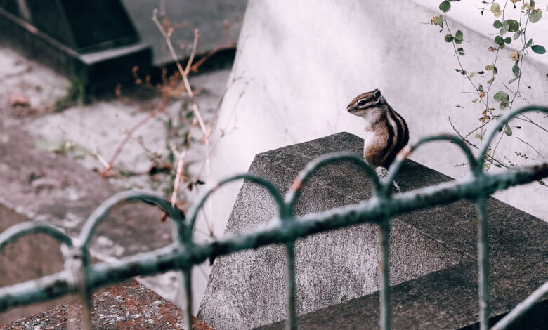 Photo of Полезные советы для начинающих рыболовов