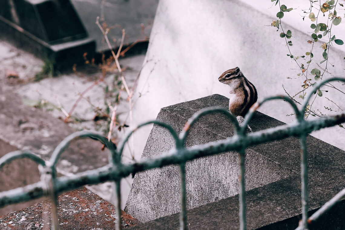 Фото 15 — Полезные советы для начинающих рыболовов