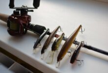 Photo of 7 советов по выбору правильного мормышного удилища