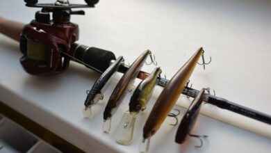Photo of 7 советов по выбору правильного мормышного удилища