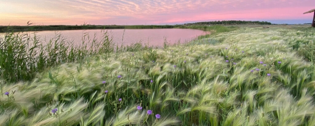 Фото 4 — Отдых на природе: рыбалка как способ релаксации