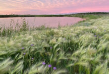 Photo of Отдых на природе: рыбалка как способ релаксации