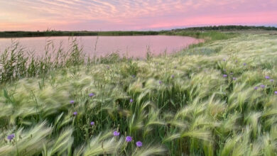 Photo of Отдых на природе: рыбалка как способ релаксации